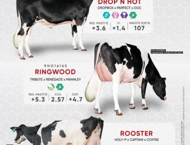 Saúde, produção e fertilidade em destaque!