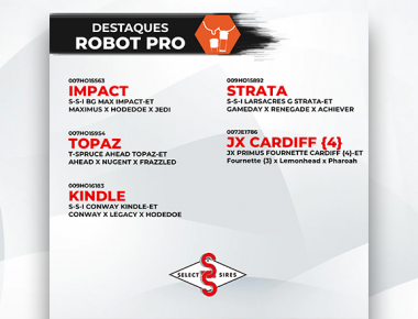 DESTAQUES ROBOT PRO
