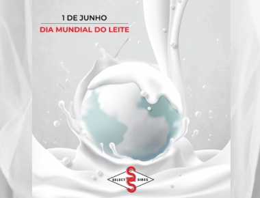 01 de Junho - Dia Mundial do Leite