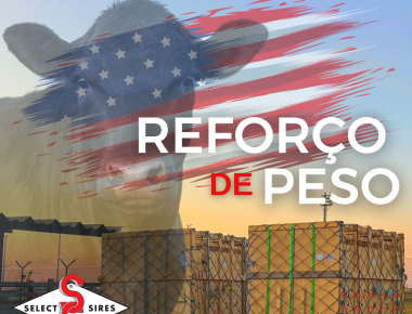 SELECT SIRES DO BRASIL REALIZA MAIS UMA IMPORTAÇÃO DE TOUROS VIVOS.