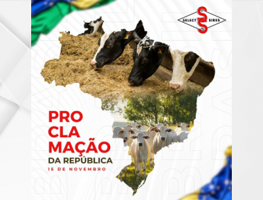 15 de Novembro - Dia da Proclamação da República
