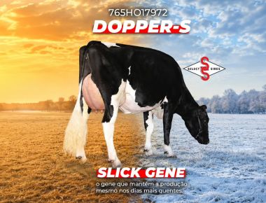 765HO17972 DOPPER-S  | SLICK GENE
