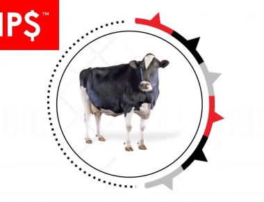 HHP$ O NOVO ÍNDICE DA SELECT SIRES.