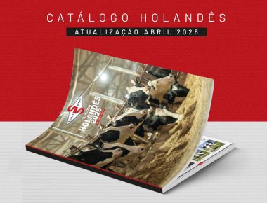 ATUALIZAÇÃO ABRIL 2026 | CATÁLOGO HOLANDÊS