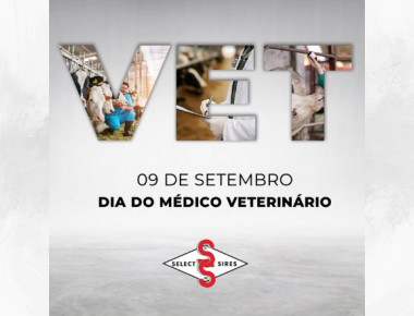 Dia 9 de setembro - Dia do Médico Veterinário.