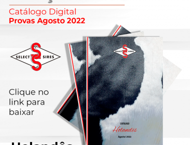 Está disponível em nosso site o Catálogo Digital Holandês | Provas Agosto 2022.