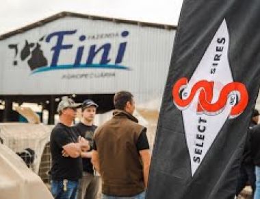 TOUR TÉCNICO SELECT SIRES 2024