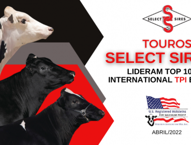 TOUROS SELECT SIRES LIDERAM O TOP 100 INTERNATIONAL TPI BULLS