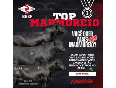 Touros Top Marmoreio