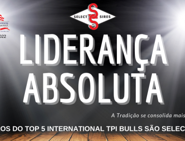 LIDERANÇA ABSOLUTA!