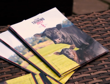  LANÇAMENTO CATÁLOGO TAURINO 2027