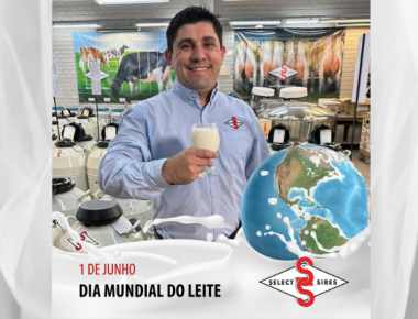 O Leite evita o envelhecimento precoce do corpo