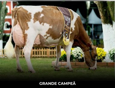 EXPOLEITE 2025: A GRANDE CAMPEÃ É GENÉTICA SELECT SIRES