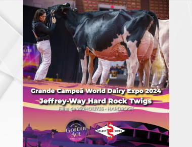 GRANDE CAMPEÃ WORLD DAIRY EXPO 2024 É GENÉTICA SELECT SIRES
