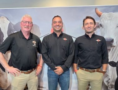 Congresso Novos Enfoques