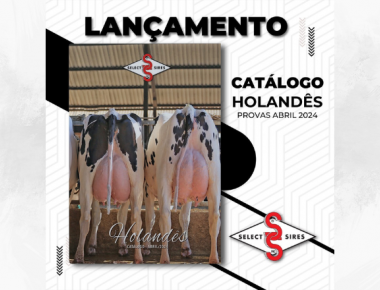 Lançamento Novo Catálogo Digital – Holandês / abril 2024.
