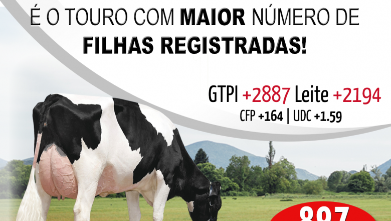Os dados foram divulgados pela Associação Brasileira dos Criadores da Raça Holandesa – ABCBRH na tar