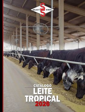 CATÁLOGO LEITE TROPICAL 2026