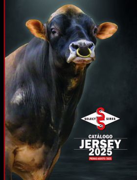 CATALOGO JERSEY - AGOSTO 25