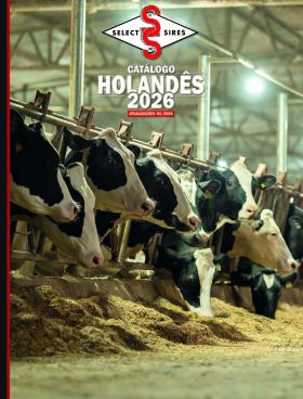 CATÁLOGO HOLANDÊS - ABRIL 26