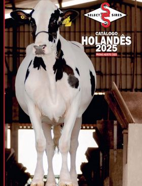 CATÁLOGO HOLANDES - AGO 25
