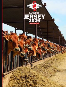 CATALOGO JERSEY | ABRIL 26
