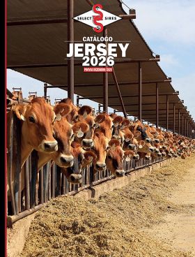 CATALOGO JERSEY - DEZEMBRO 25