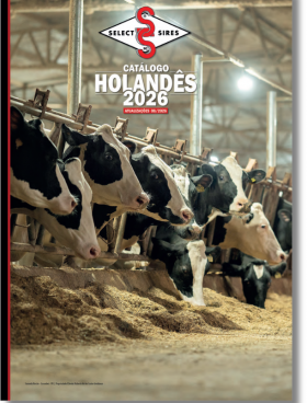 CATÁLOGO HOLANDÊS - AGOSTO 26