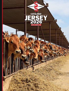 CATALOGO JERSEY - AGOSTO 26