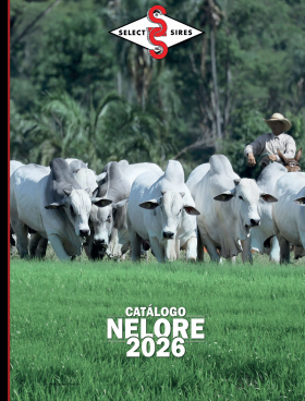 CATÁLOGO NELORE 2026